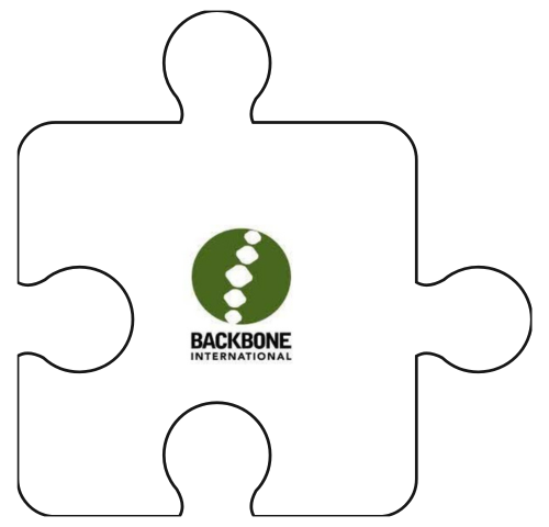 puzzelstukje Backbone International
